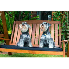 Rivers 2 Seat Hardwood Swing with Canopy & Cushion